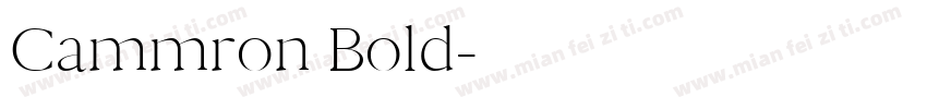 Cammron Bold字体转换
